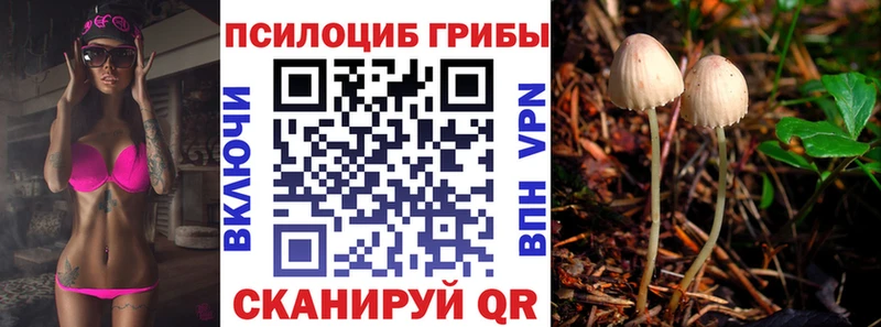где купить   Одинцово  Псилоцибиновые грибы GOLDEN TEACHER 